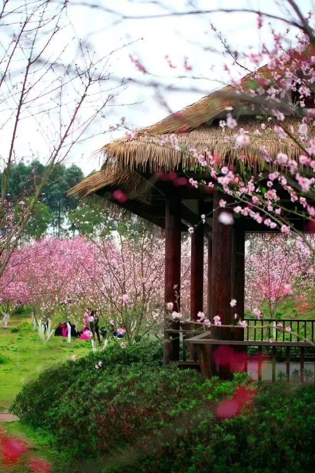 里约奥运会