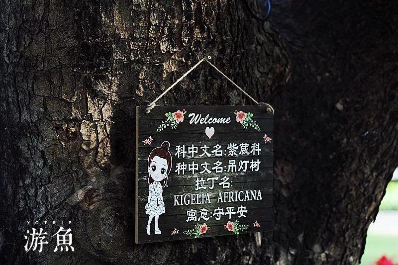 静谧飞行
