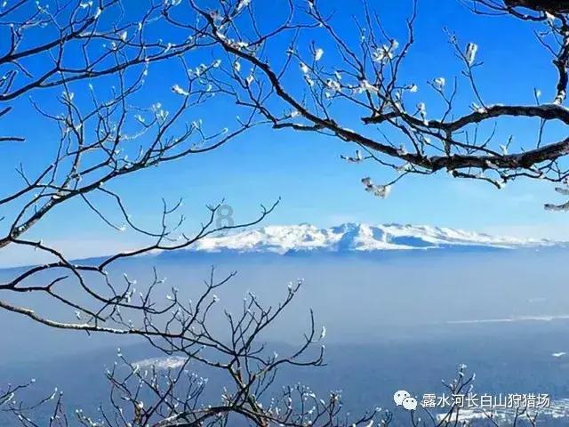 宏远出现内讧?沃特斯马尚离队不参加二飞全羊宴 威姆斯劝阻无果