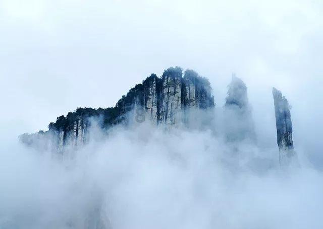 绿色吊带背心搭配修身短裤,清凉曼妙不失小性感,你觉得如何?-专业红迪网平台