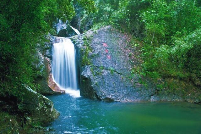 永清:无土水培种植技术促进农业提质增效