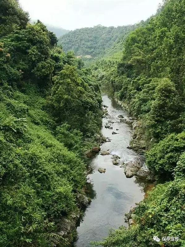 大雨林逃生