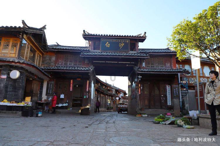 代表委员说丨河南省政协委员刘志恒：全面推进非遗数字化 让非遗“活起来”“火起来”
